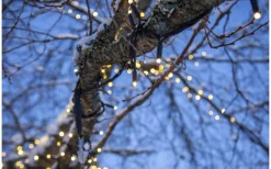 Ljusslinga System LED 3m Varmvit Svart Kabel