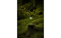 Uppladdningsbara Lampor Utomhus|Uppladdningsbara Lampor Utomhus<Konstsmide Lyon Uppladdningsbar Bordslampa LED CCT+RGB 30cm Gröngrå IP54