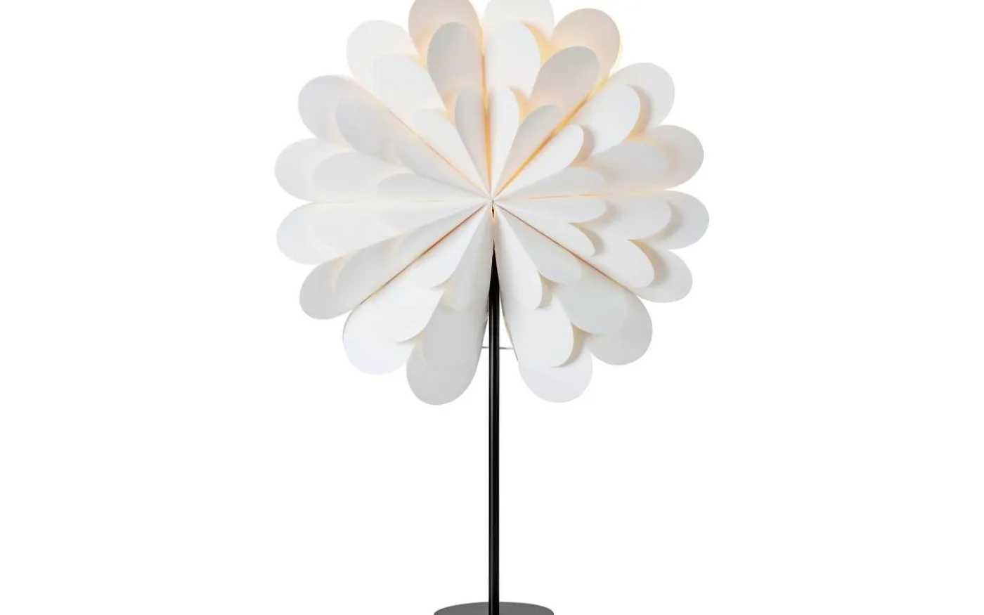 Maravilla Bordsstjärna 68cm Vit