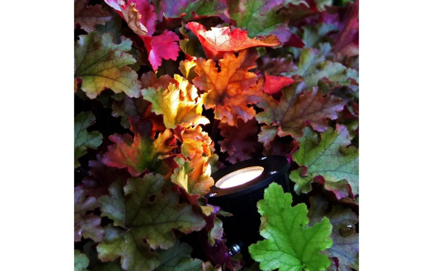 Lightson Markspotlight Luminus LED 3000K 270lm 5W* Lightson Garden Plug & Play