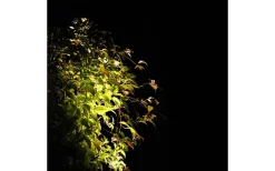 Lightson Markspotlight Luminus LED 3000K 270lm 5W* Lightson Garden Plug & Play