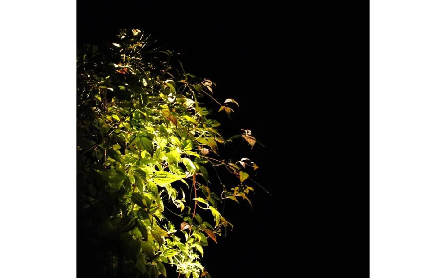 Lightson Markspotlight Luminus LED 3000K 270lm 5W* Lightson Garden Plug & Play