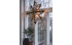 Mary Adventsstjärna Rotting 46cm 2:a Sortering