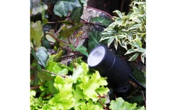 Lightson Medusa Markspotlight LED 560lm 8W* Lightson Garden Plug & Play