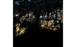 Lightson Medusa Markspotlight LED 560lm 8W* Lightson Garden Plug & Play