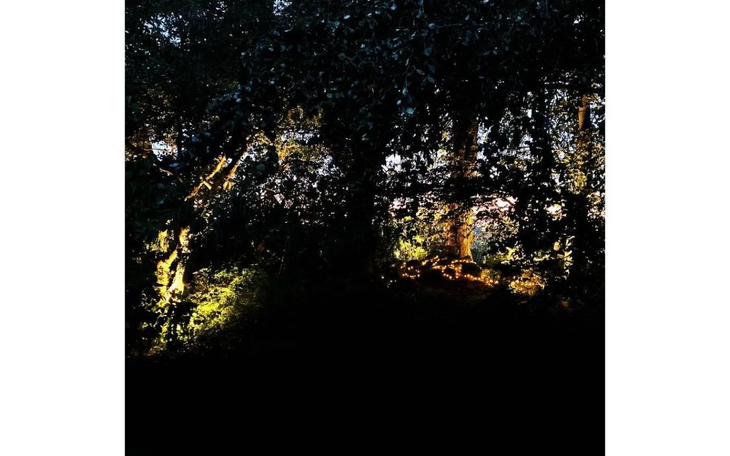 Lightson Medusa Markspotlight LED 560lm 8W* Lightson Garden Plug & Play