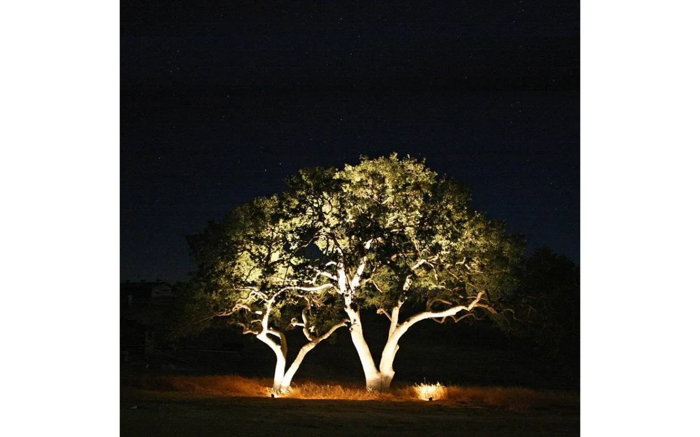 Lightson Medusa Markspotlight LED 560lm 8W* Lightson Garden Plug & Play