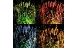 Lightson Medusa Markspotlight LED 560lm 8W* Lightson Garden Plug & Play