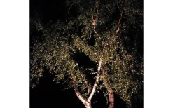 Lightson Medusa Markspotlight LED 560lm 8W* Lightson Garden Plug & Play