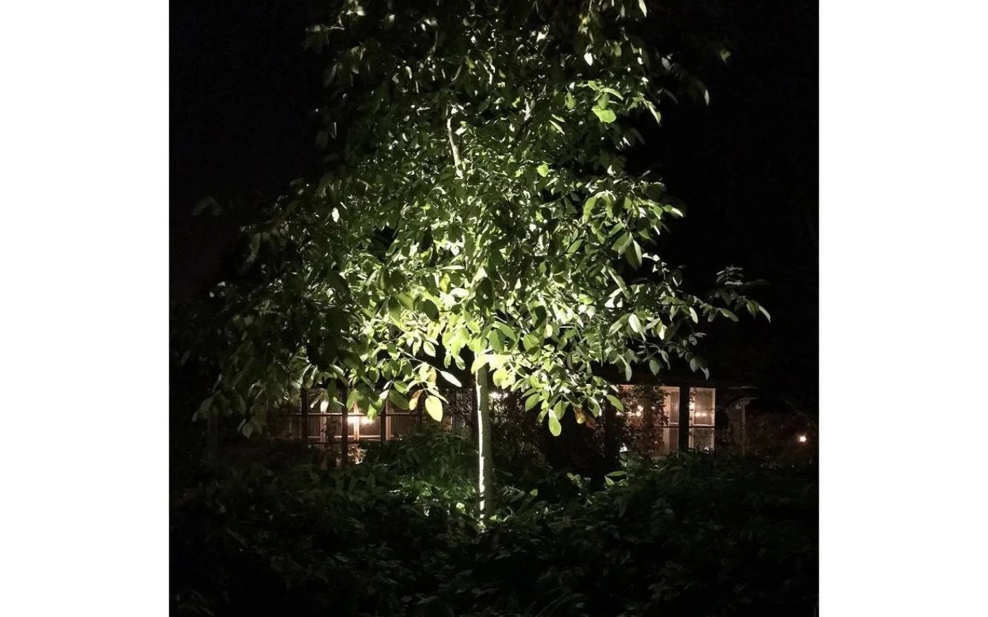 Lightson Medusa Markspotlight LED 560lm 8W* Lightson Garden Plug & Play