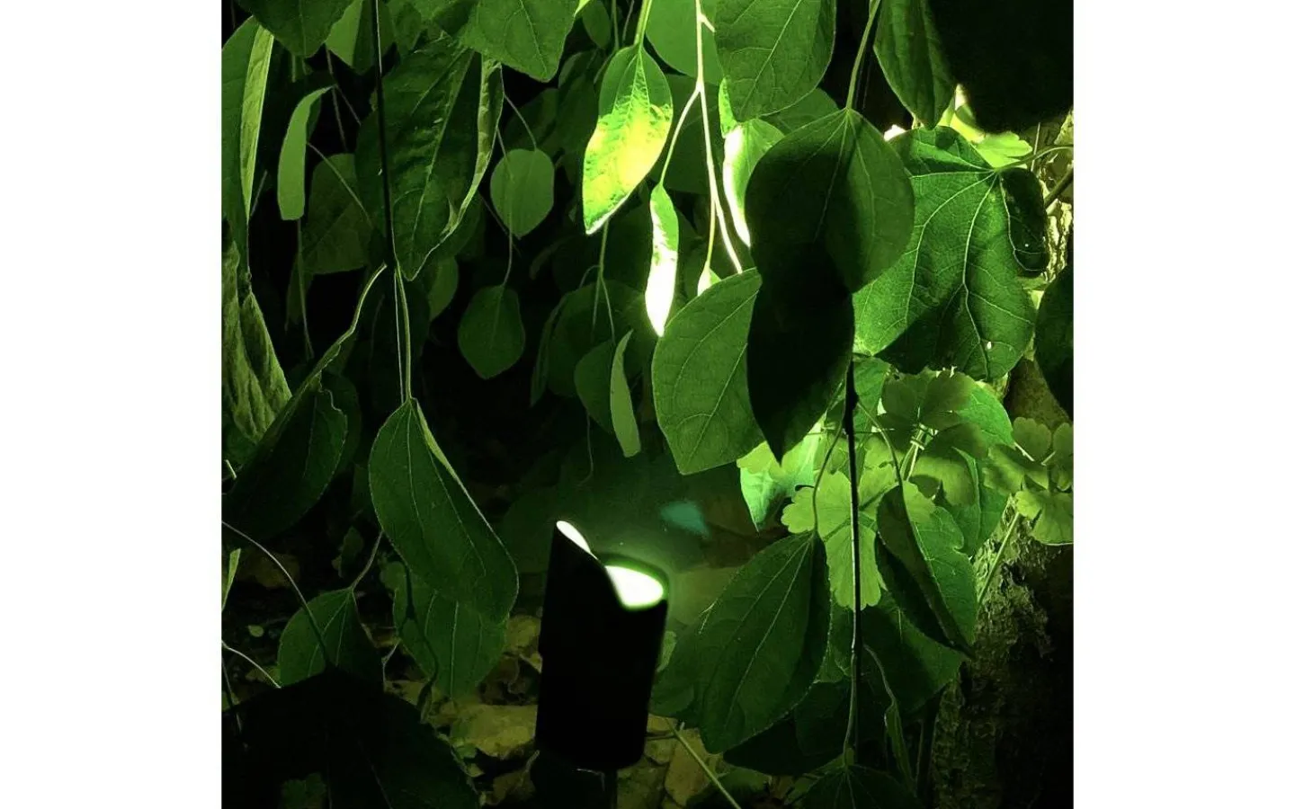 Lightson Medusa Markspotlight LED 560lm 8W* Lightson Garden Plug & Play