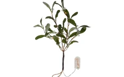 Star Trading Mistel Dekorationskvist Grön* Batteri Julpynt Inomhus