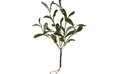 Star Trading Mistel Dekorationskvist Grön* Batteri Julpynt Inomhus