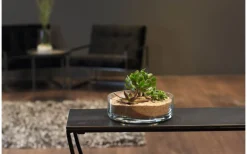 Leonardo Novara Skål Ø22cm Klar* Skålar|Tallrikar & Skålar