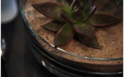 Leonardo Novara Skål Ø22cm Klar* Skålar|Tallrikar & Skålar