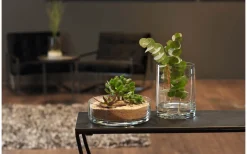 Leonardo Novara Skål Ø22cm Klar* Skålar|Tallrikar & Skålar