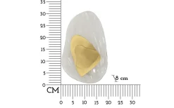 Ocean Vägglampa 31cm Guld