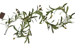 Girlanger|Inomhusdekorationer Batteri<Star Trading Olivec Batteridriven Girland 180cm Grön IP44