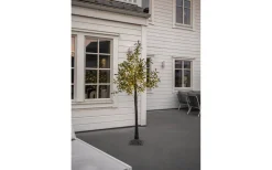 Star Trading Olivec Dekorationsträd 180cm Grön IP44* Dekorationsträd