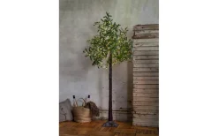 Star Trading Olivec Dekorationsträd 180cm Grön IP44* Dekorationsträd