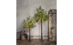 Star Trading Olivec Dekorationsträd 180cm Grön IP44* Dekorationsträd