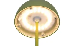 Ortiz Laddbar Bordslampa LED Grön IP44