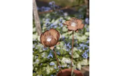 Star Trading Oxida Solcellsdriven 2st Blommor 51cm Rostbrun* Solcellslampor Dekoration|Visa Alla Solcellslampor