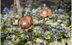 Star Trading Oxida Solcellsdriven 2st Blommor 51cm Rostbrun* Solcellslampor Dekoration|Visa Alla Solcellslampor