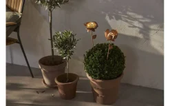 Star Trading Oxida Solcellsdriven 2st Blommor 51cm Rostbrun* Solcellslampor Dekoration|Visa Alla Solcellslampor