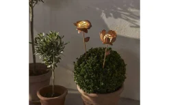Star Trading Oxida Solcellsdriven 2st Blommor 51cm Rostbrun* Solcellslampor Dekoration|Visa Alla Solcellslampor