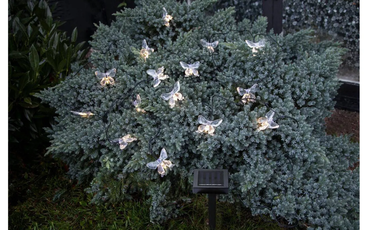 Solcellslampor Dekoration|Visa Alla Solcellslampor<Star Trading Papillon Solcellslampa 280cm Varmvit