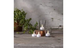 Värmeljus|Värmeljus<Star Trading Paulo Värmeljus 4-pack