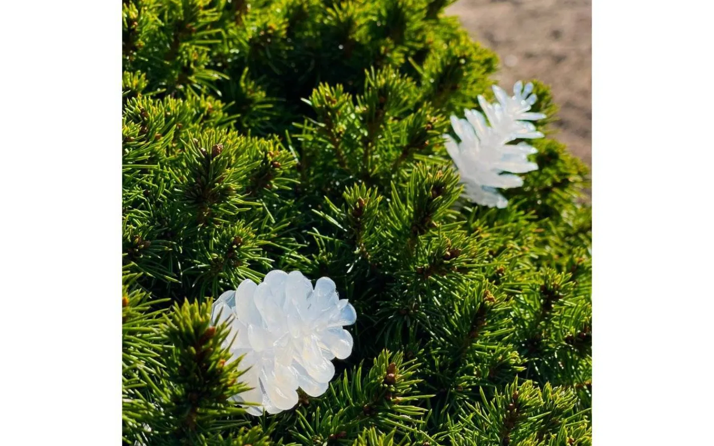 Lightson Garden Plug & Play<Lightson Pine Ljusslinga med kottar 10m LED