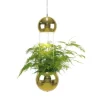 Globen Lighting Planter Mini Fönsterlampa 18cm E14 Mässing* Kök & Matplats|Fönsterlampor