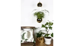 Globen Lighting Planter Mini Fönsterlampa 18cm E14 Mässing* Kök & Matplats|Fönsterlampor