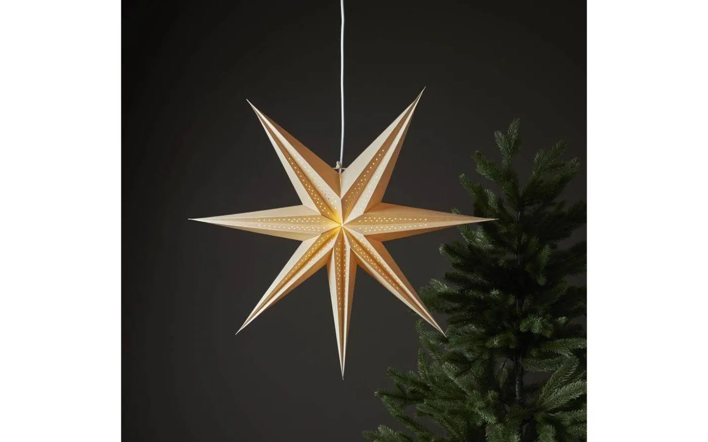 Point Pappstjärna 60cm Beige