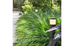 Lightson Polly Pollare 38cm GU5,3 LED 3000K 5W Antracit* Lightson Garden Plug & Play