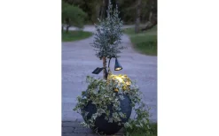 Star Trading Powerspot Solcellsdriven Spotlight 34cm Svart* Solcellslampor Stig & Mark|Visa Alla Solcellslampor