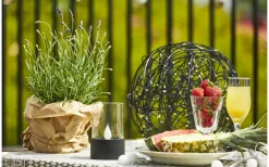 Solcellslampor Dekoration|Visa Alla Solcellslampor<Star Trading Puloun Solcellslampa Svart