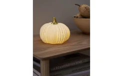 Inomhusdekorationer Batteri<Star Trading Pumpkin Bordsdekoration 12cm Vit