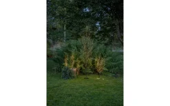 Star Trading Reedy Dekorationskvist 60cm Svart* Dekorationsträd