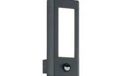 Rhine Vägglampa LED antracit med rörelsesensor IP54