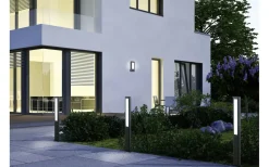 Trio Lighting Rhine Vägglampa LED antracit IP54* Vägglampor Utomhus