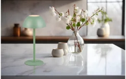 Ricardo Laddbar Bordslampa LED Pistagegrön IP54