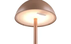 Reality Ricardo Laddbar Bordslampa LED Kaffebrun IP54* Uppladdningsbara Lampor Utomhus|Uppladdningsbara Lampor Utomhus