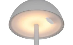 Ricardo Laddbar Bordslampa LED Grå IP54