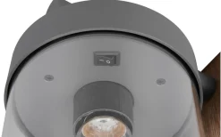 Vägglyktor|Vägglampor Utomhus<Trio Lighting Sambesi Vägglampa E27 antracit/trä skymningssensor IP44