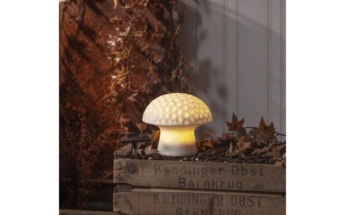 Sandy Solcellsdriven Svamp i Sandstone 16cm Vit