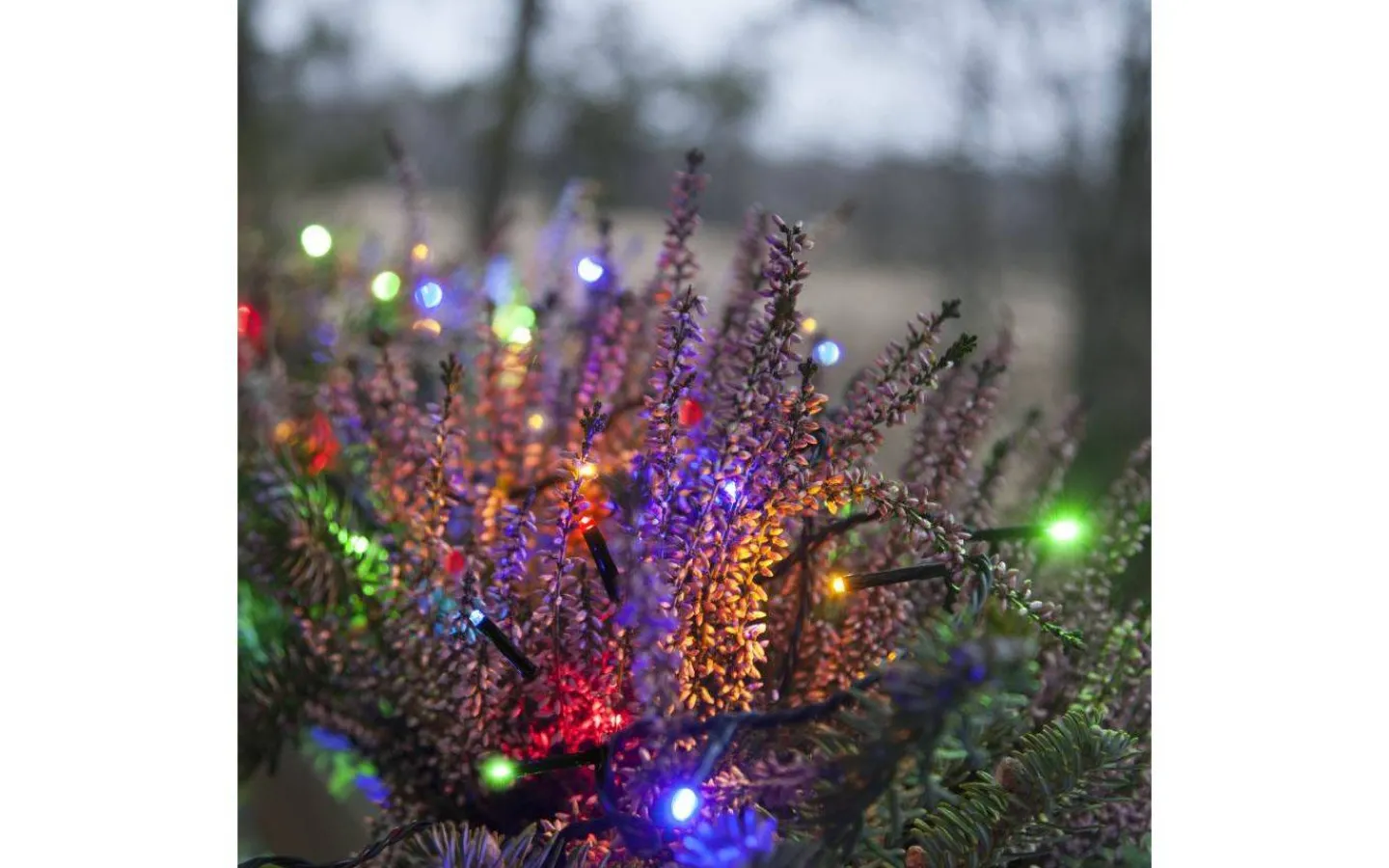 Ljusslingor Med Färgade Lampor<Star Trading Serie MicroLED Ljusslinga 3m Multifärgad IP44