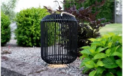 Solcellslampor Dekoration|Visa Alla Solcellslampor<Star Trading Solcellsdekoration Sunlight 48cm Svart